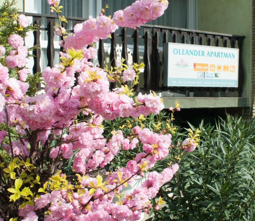Oleander Apartman Heviz Ngoại thất bức ảnh