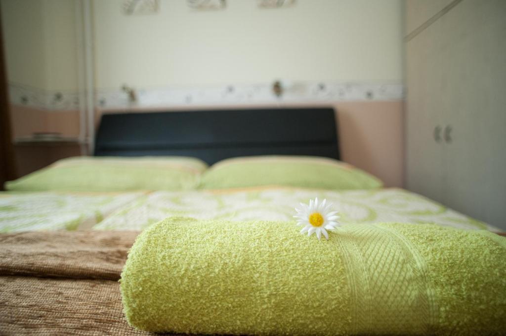 Oleander Apartman Heviz Ngoại thất bức ảnh